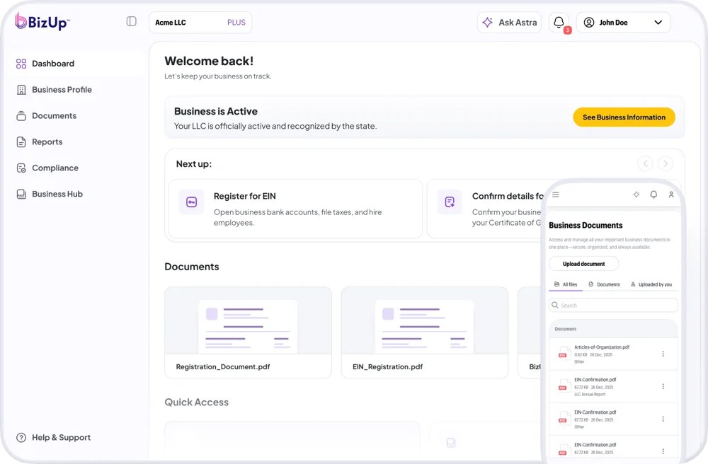 BizUp dashboard